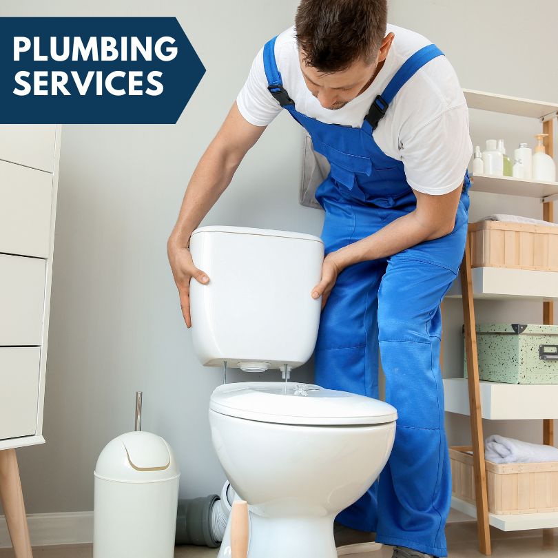 Plumbing Company in Triumph, IL